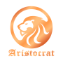 Анкета салона: Aristocrat 25 лет #2